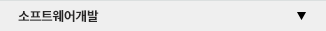 소프트웨어개발